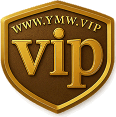 VIP源码网